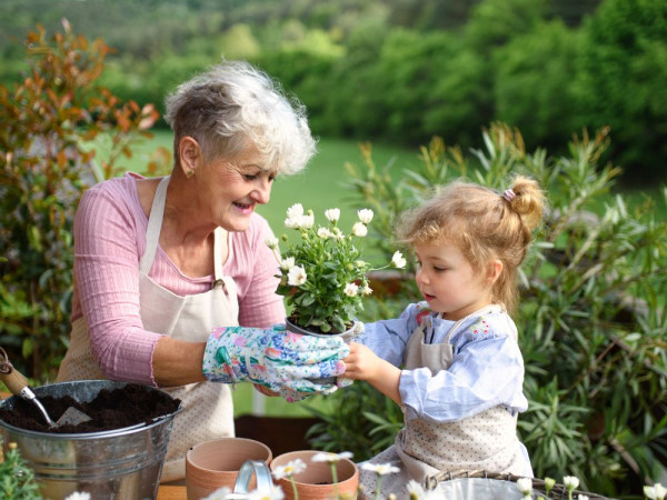 What Can We Learn from Seniors Today?