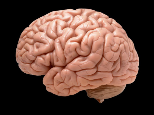 Vieillissement du cerveau : que faut-il surveiller ?